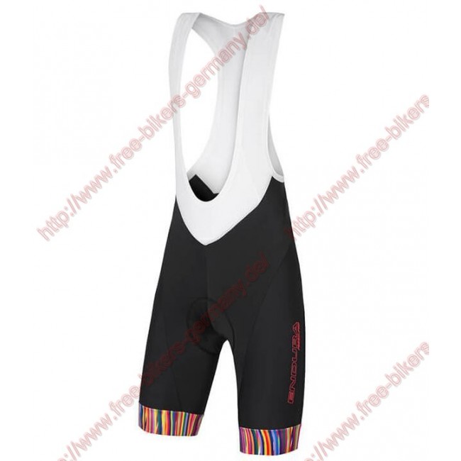 Radsport ENDURA Graphics Pinstripe Trägerhosen Set Radtrikot Kaufen Radsport ENDURA Graphics Pinstripe Trägerhosen Set Radtrikot Kaufen