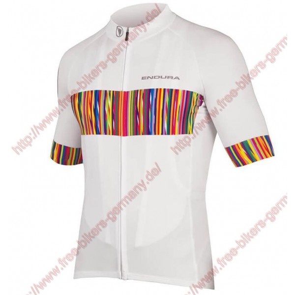 Radsport ENDURA Graphics Pinstripe Trikot Kurzarm Radtrikot Kaufen