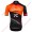 Radsport TEAM WILIER FORCE 7C 2018 Trikot Kurzarm Radtrikot Kaufen