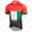 Profiteam 2018 Dubai Tour Sprint Trikot Kurzarm Outlet Radtrikot Kaufen