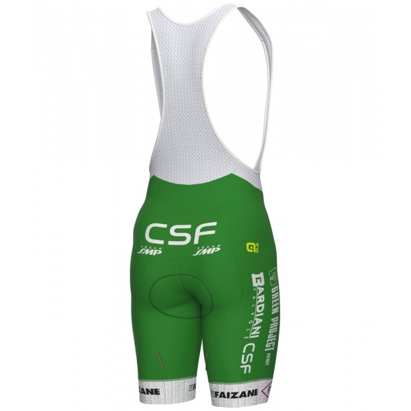 Green Project-Bardiani Csf-Faizane' 2023 Set (Radtrikot langer RV+Trägerhose)-ALE Radsport-Profi-Team Green Project-Bardiani Csf-Faizane' 2023 Set (Radtrikot langer RV+Trägerhose)-ALE Radsport-Profi-Team