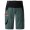 MEN QIMSA SHORTS Bike Shorts grün