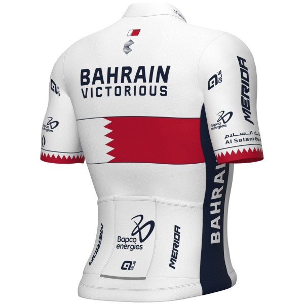 Herren Ale Bahrain Victorious 2024 trikot-Bahrain Meister Radtrikot Kaufen