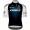 Herren Q36.5 Pro Cycling Team 2025 Gregarius Pro trikot Radtrikot Kaufen