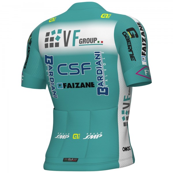 Herren Ale VF Group-Bardiani CSF-Faizane 2025 PRS 2.0 trikot Radtrikot Kaufen