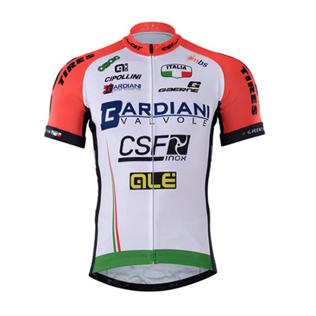 2017 BARDIANI CSF Radtrikot Kurzarm Radtrikot Kaufen 2017 BARDIANI CSF Radtrikot Kurzarm Radtrikot Kaufen