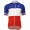 FDJ Pro Team 2017 Tenue Championnat Francais Radtrikot Kurzarm Radtrikot Kaufen